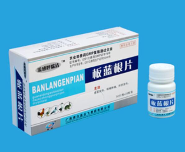 广西博白云飞兽药板兰根片产品信息详解